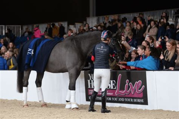 How tall is Valegro?