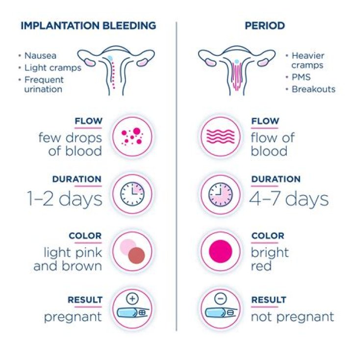 What does implantation bleeding look like?