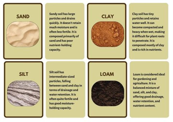 What is soil formation kids?